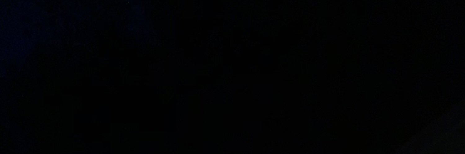 Ulysses S. Grant banner