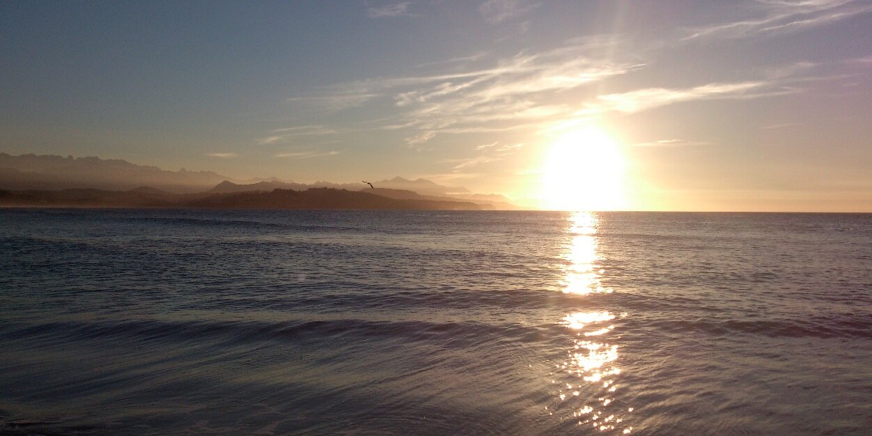 Angela morrison banner