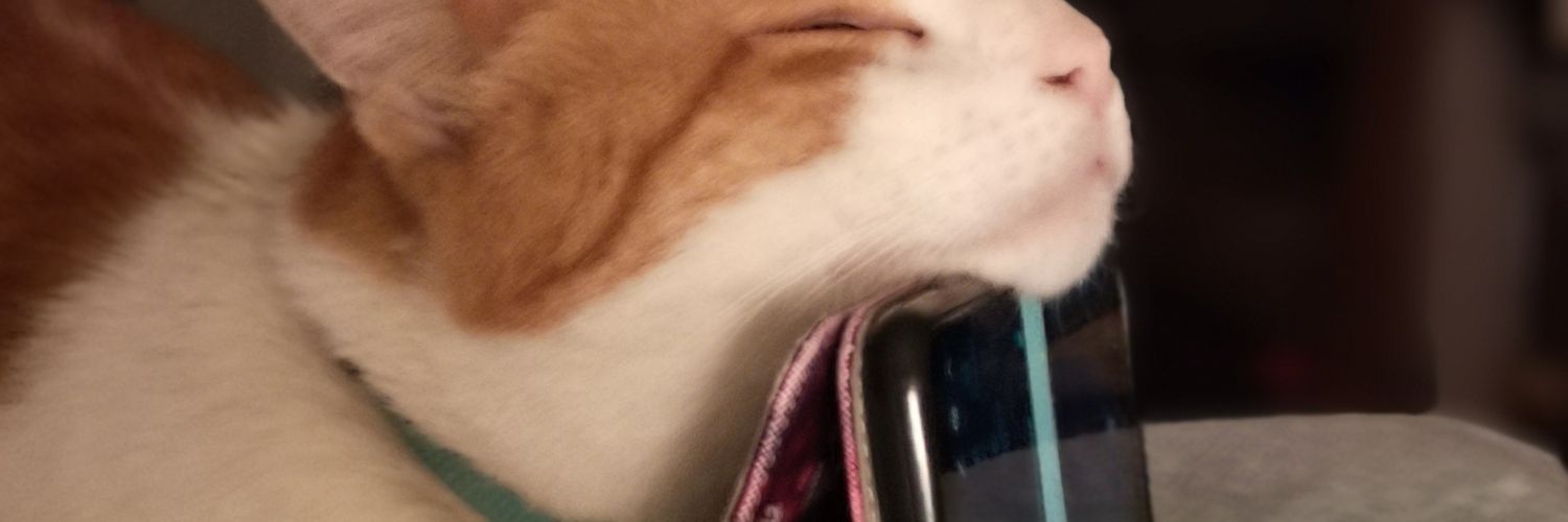 Fabrice Marrou banner