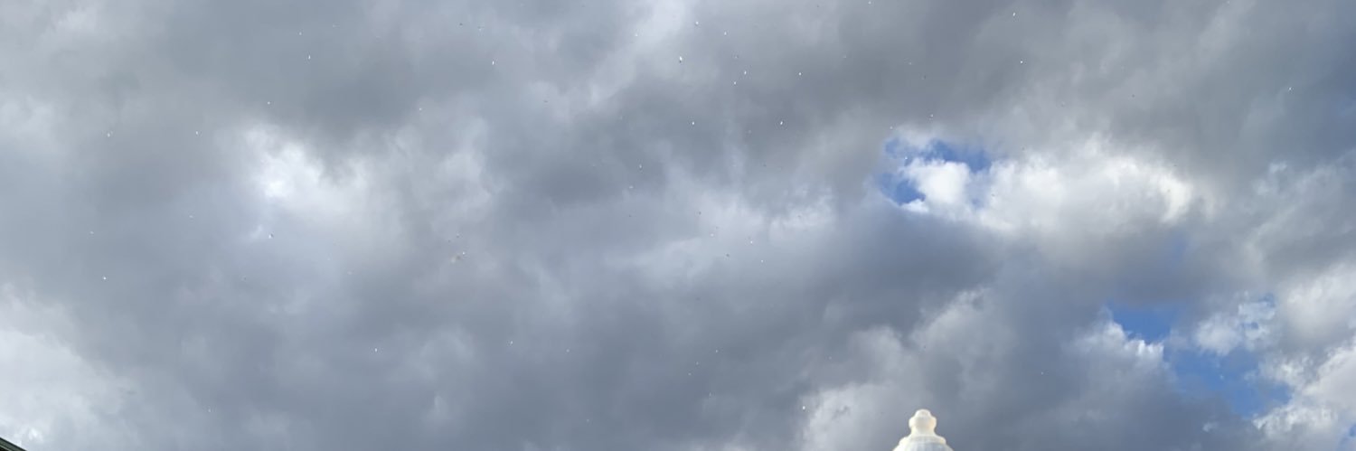 chellychelle_'s profile banner image