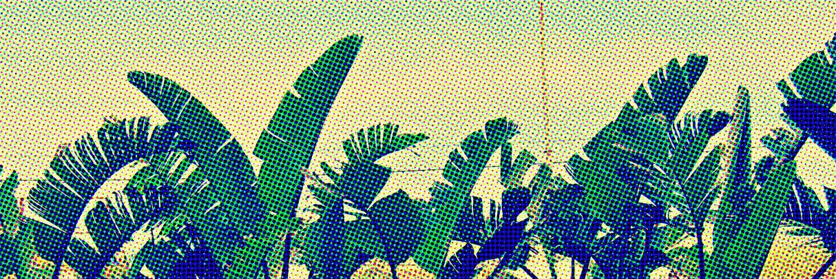 DunesIbiza's profile banner image