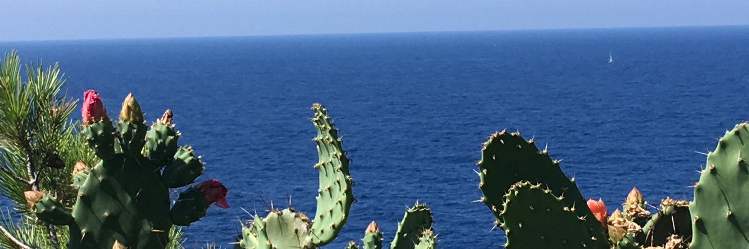 Laolaprof's profile banner image