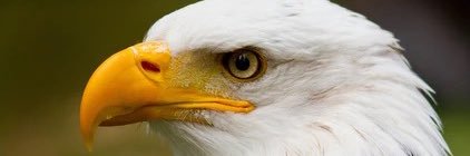 AjFl2805's profile banner image