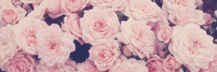 antoniya_97's profile banner image