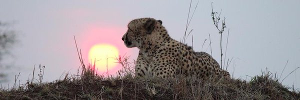 EsserKarla Profile Banner