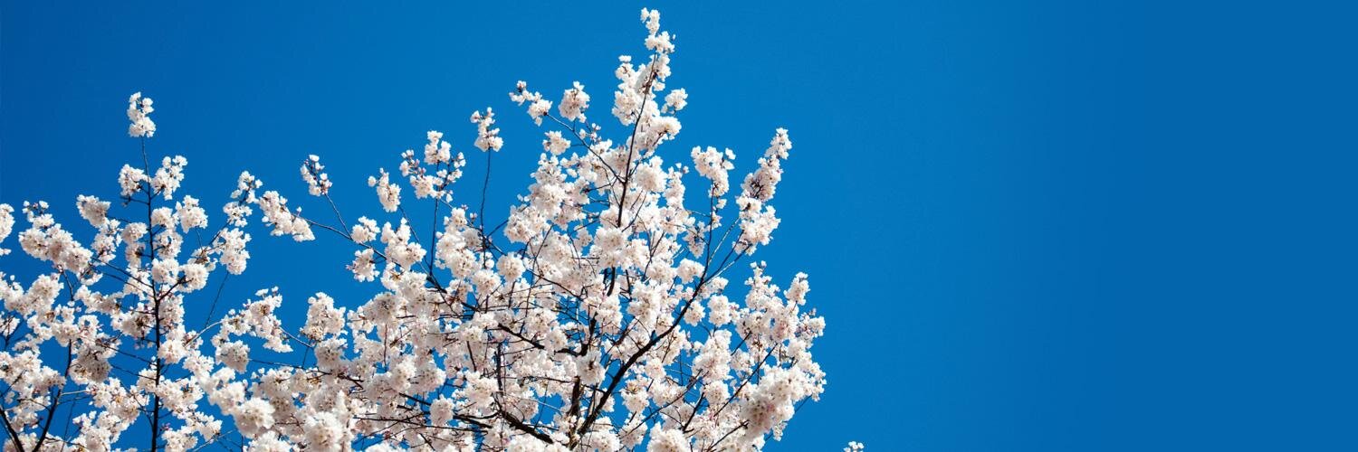 BU Federal Relations banner