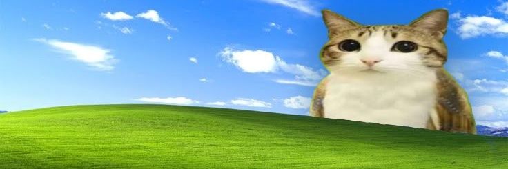 bellutiox's profile banner image