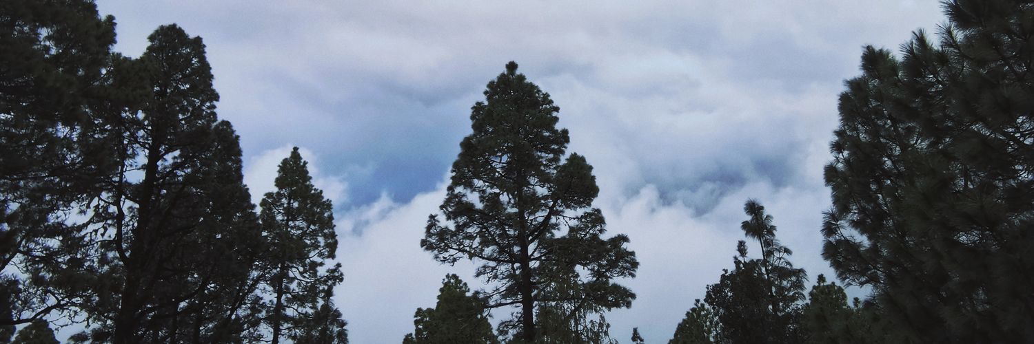 e98ph's profile banner image