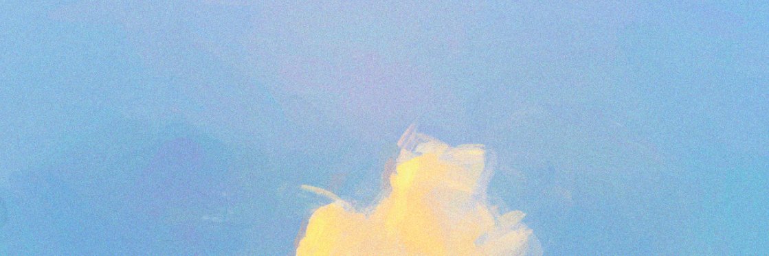 samaris belo banner