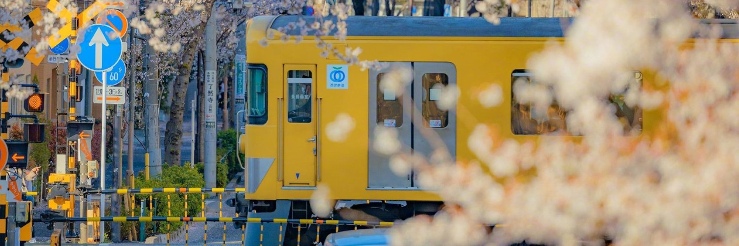 sofia jimenez banner