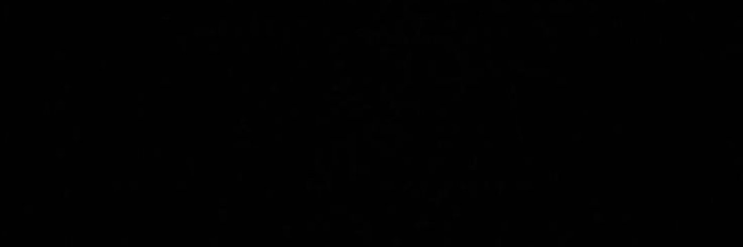 bia banner