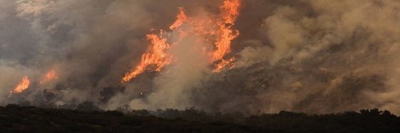 ERC_PyroTRACH banner