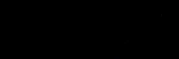 adri_lhl Profile Banner