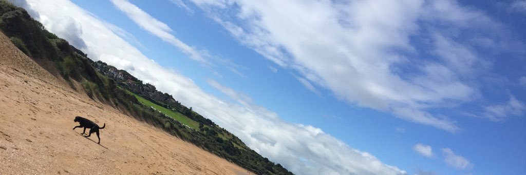 aitken_katy's profile banner image