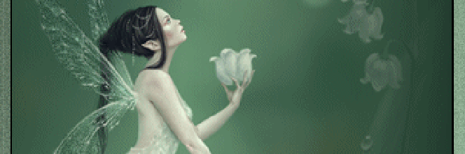 CHANTAL banner