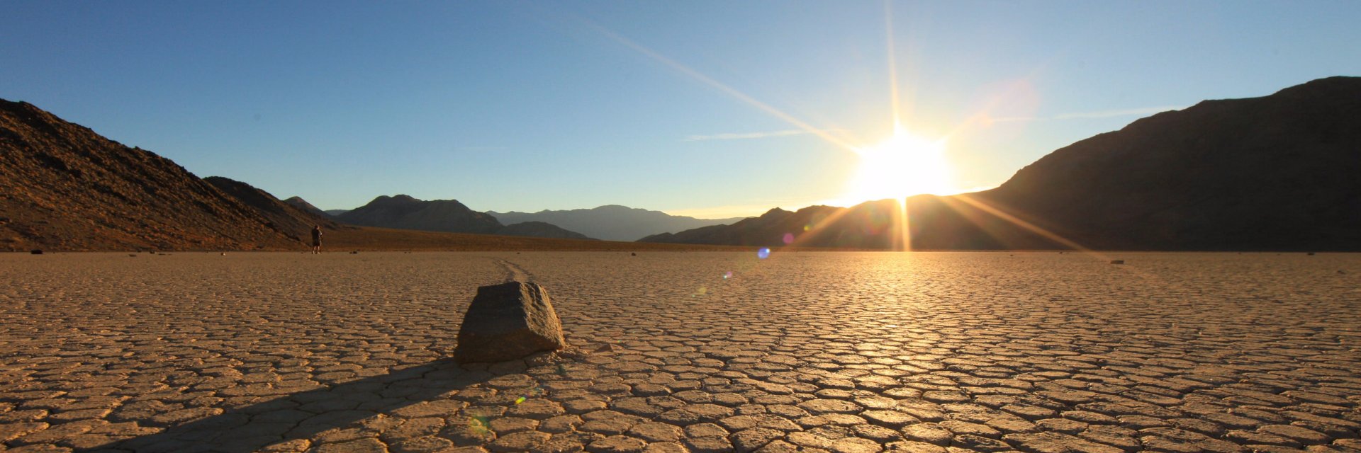 randaldoane's profile banner image