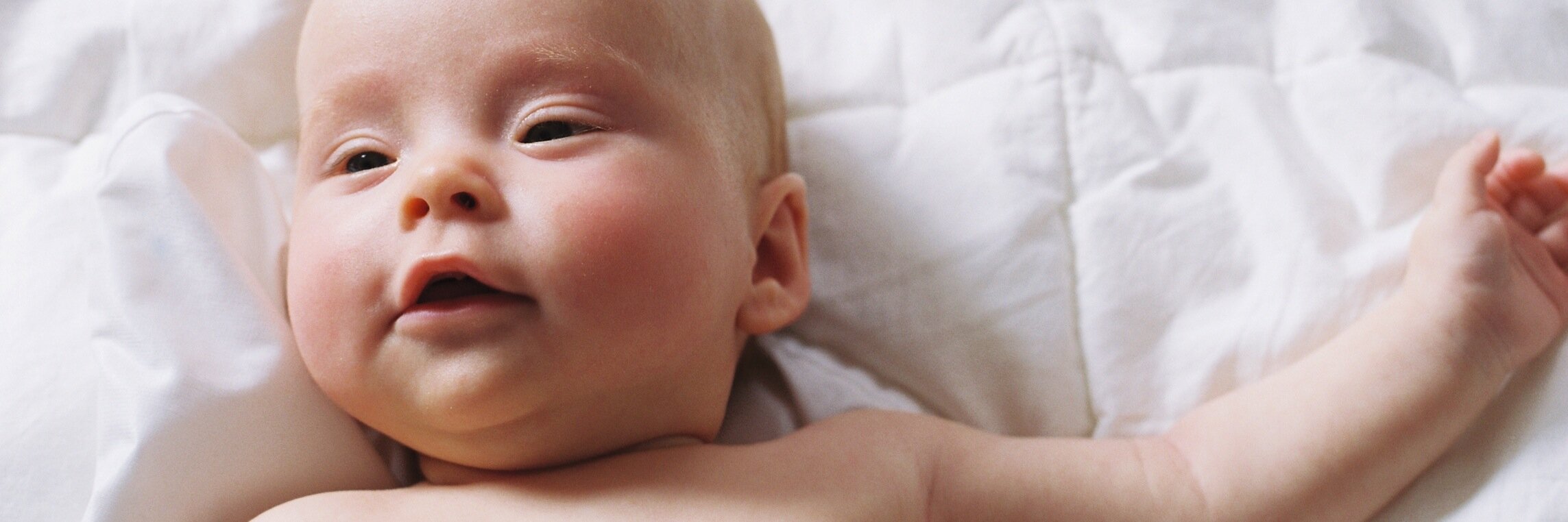 PRESTO (Pregnancy Study Online) banner