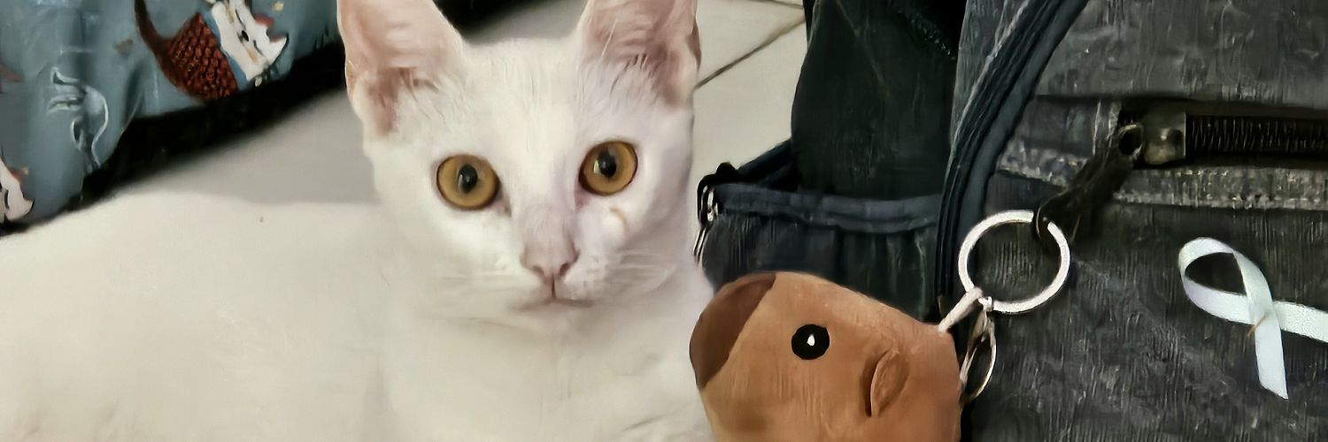 WStallony's profile banner image
