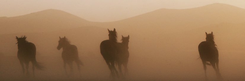غـادة ؏. الـعـمران banner