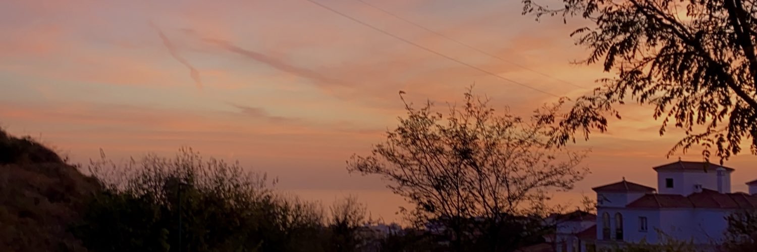 v i c k y banner