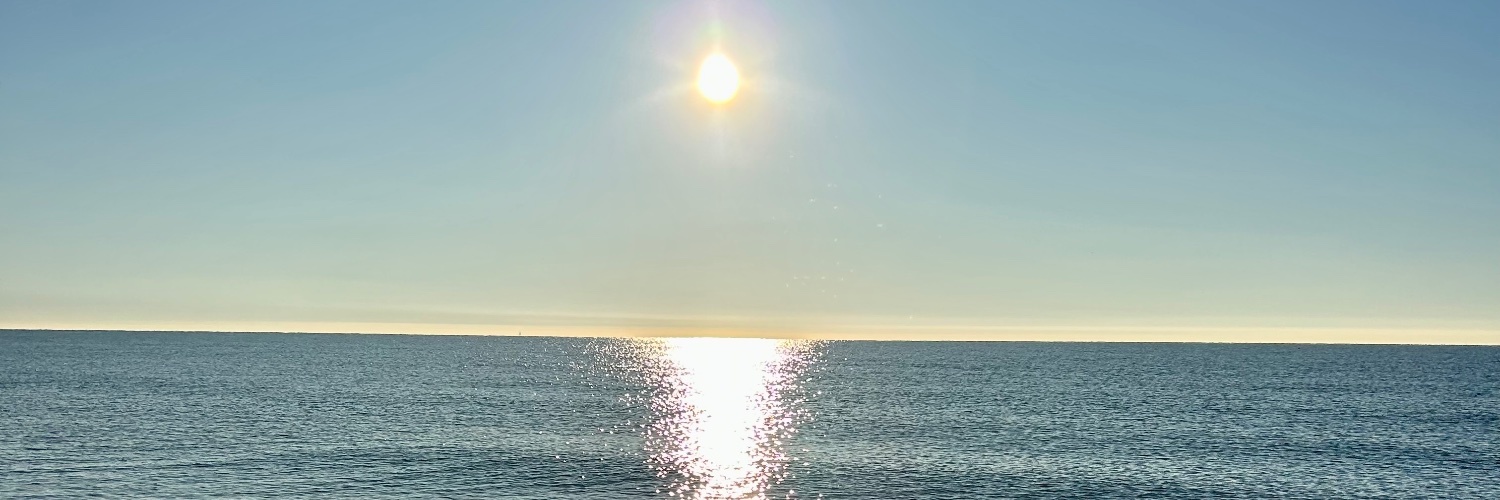 en desconnexió banner