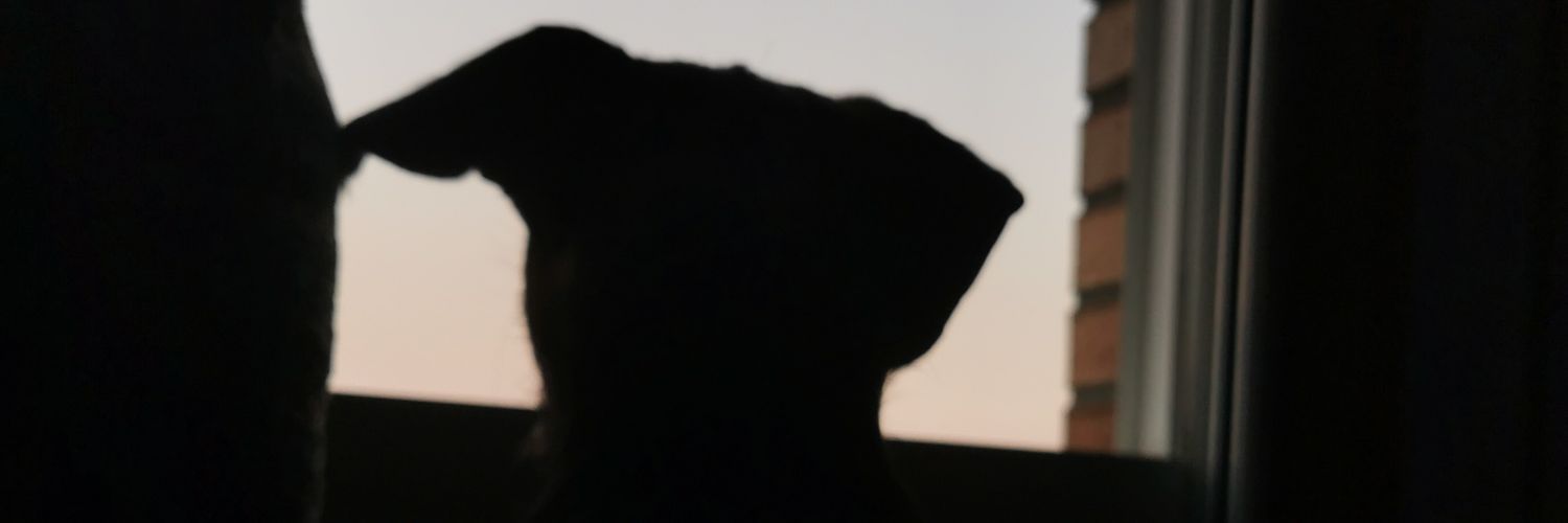 IsabelCaaveiro's profile banner image