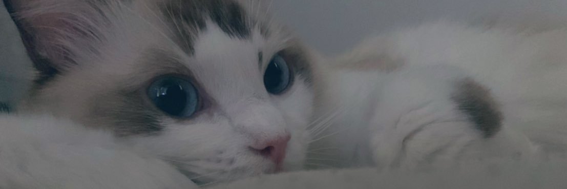 tttttomon's profile banner image
