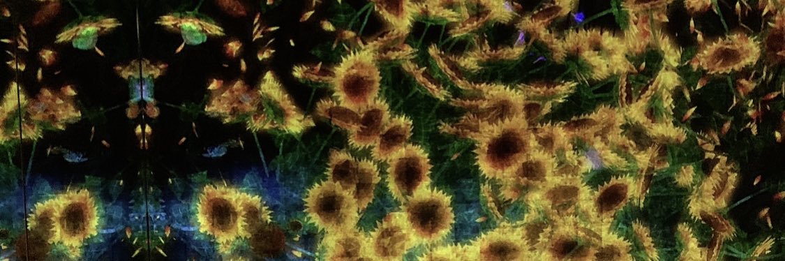 💐 banner
