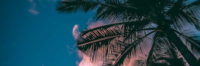 louispes's profile banner image