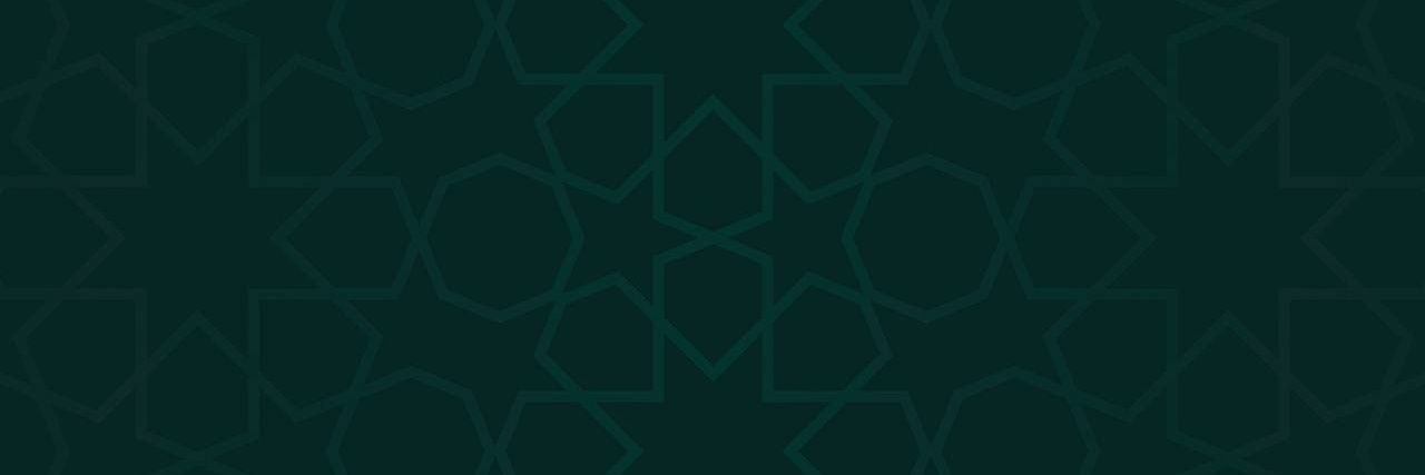DrSalimBaradei's profile banner image