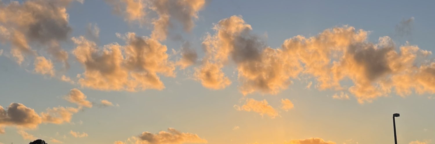 Elizabethsguti's profile banner image
