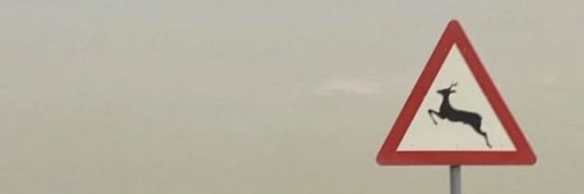 1SD____'s profile banner image