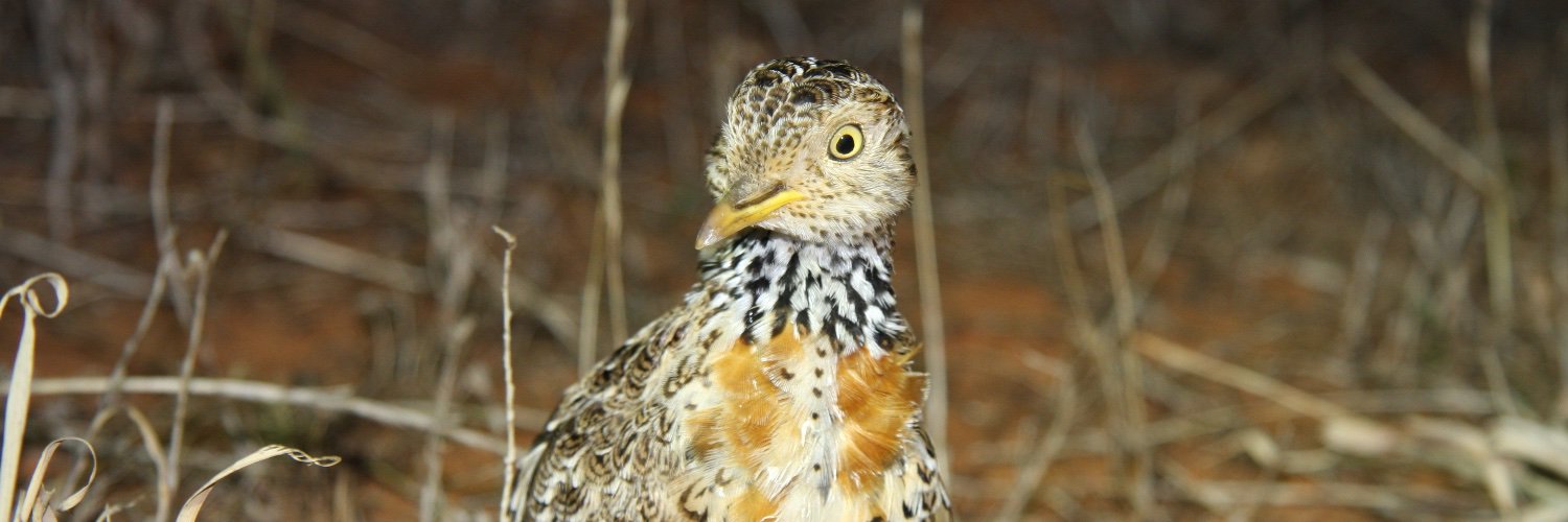 Threatened Species Initiative banner
