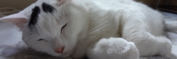 EmoAftermath Profile Banner