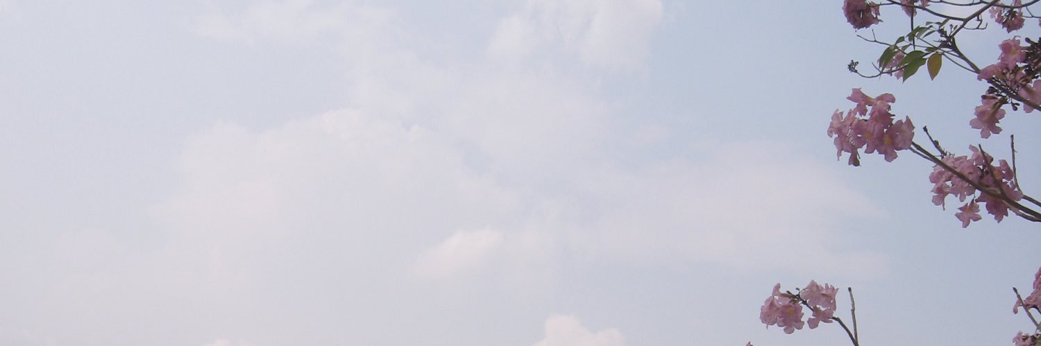 warmcloud🩶 banner