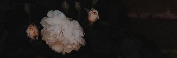_utsuno_'s profile banner image