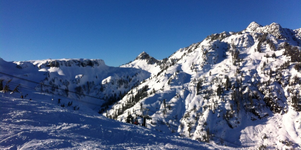 Trysta Vandale banner