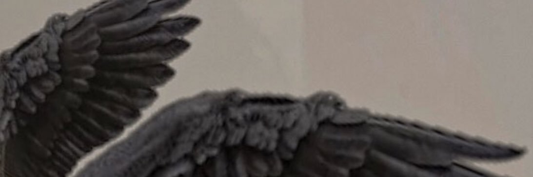fvckdrea's profile banner image