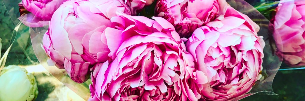 Helena Blackman banner