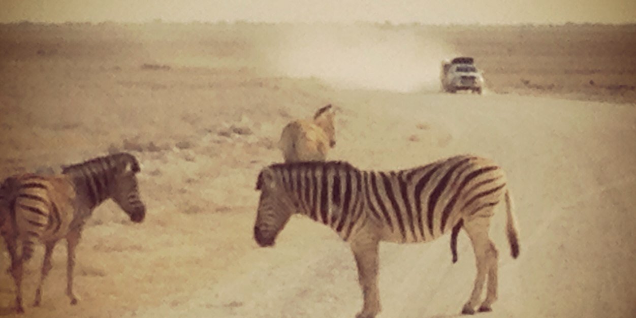 Wetjal's profile banner image