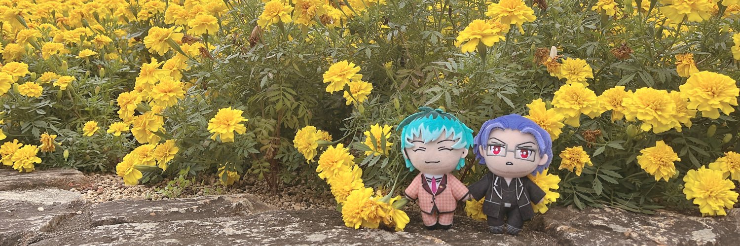虎ヶ丸's banner
