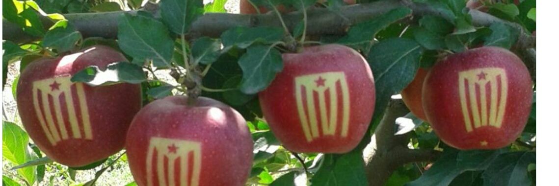 Maralot's profile banner image