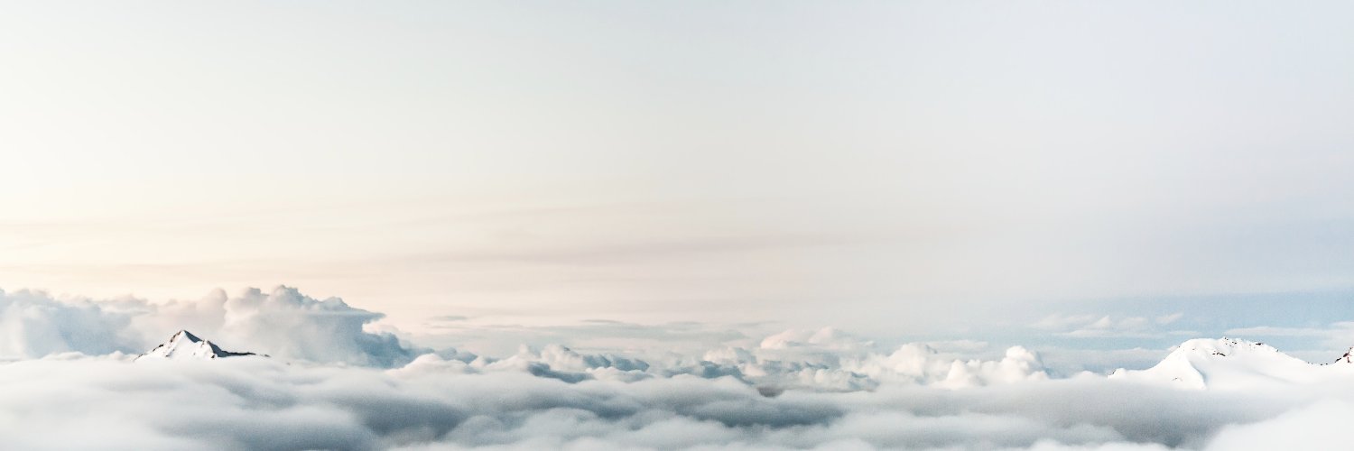 taniawellness's profile banner image