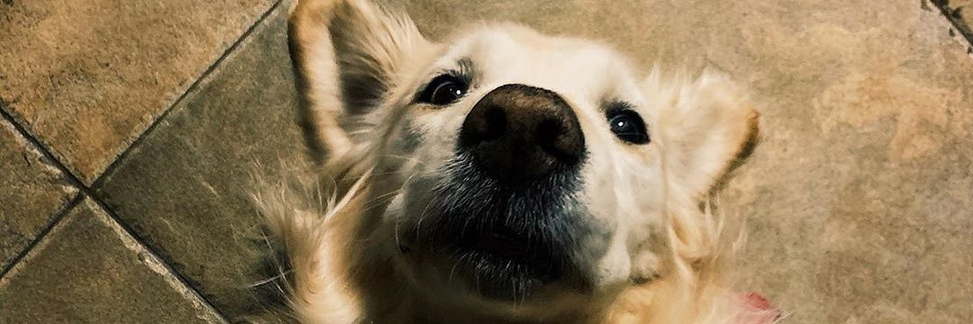 soliglesiias's profile banner image