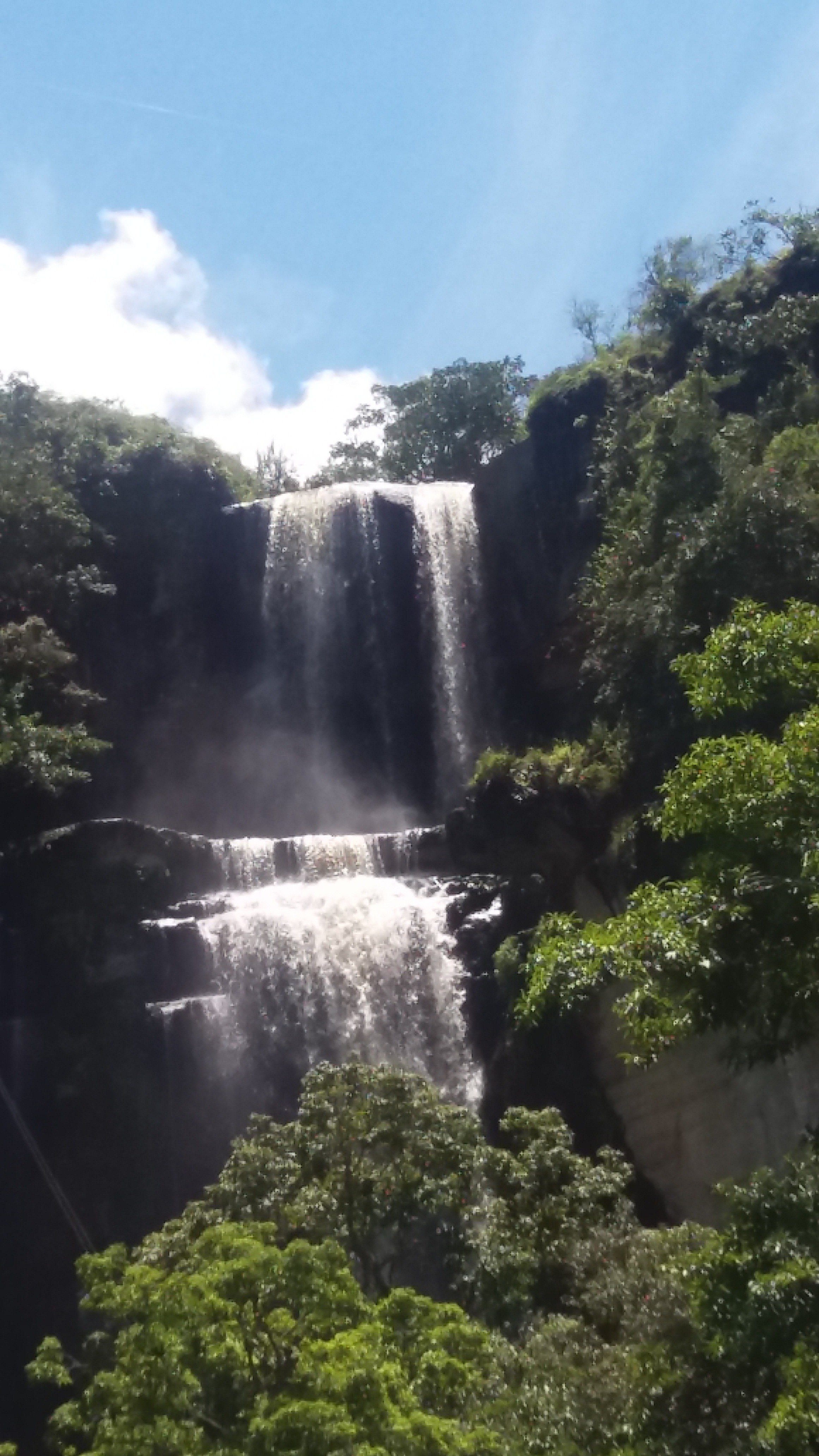 CECILIA RIVEROS banner