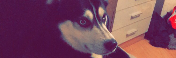 Chloe_Seers's profile banner image