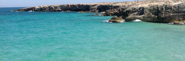 FranABH Profile Banner