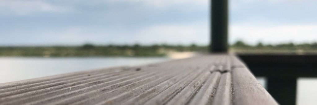 The_Skulk's profile banner image