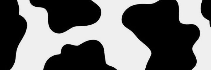 Pily_VB's profile banner image