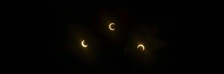 dark n stormy 𓆙 banner